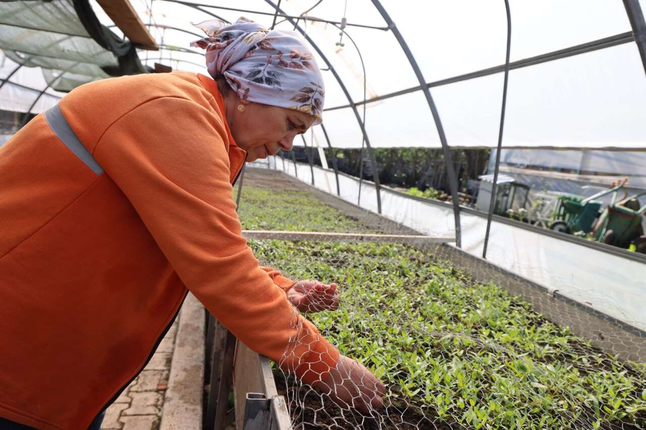 Marmaris Belediyesi Seralarıyla Milyonluk Tasarruf Sağladı 6